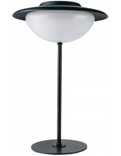 LAMPA Ogrodowa RGB na AKUMULATOR + PILOT 3w1