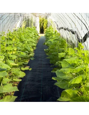 AGROTKANINA AGROWŁÓKNINA 1,1x50m ANTYCHWASTOWA CZARNA 90g/mkw UV 3% + KOTWY