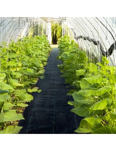 AGROTKANINA AGROWŁÓKNINA 1,1x50m ANTYCHWASTOWA CZARNA 90g/mkw UV 3% + KOTWY